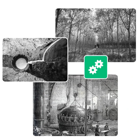 Rubber plantation and engraving dating from 1837 depicting the steam vulcanization process