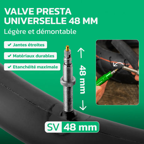 Valve Presta 48 mm de la chambre à air 14 pouces MoovMoov