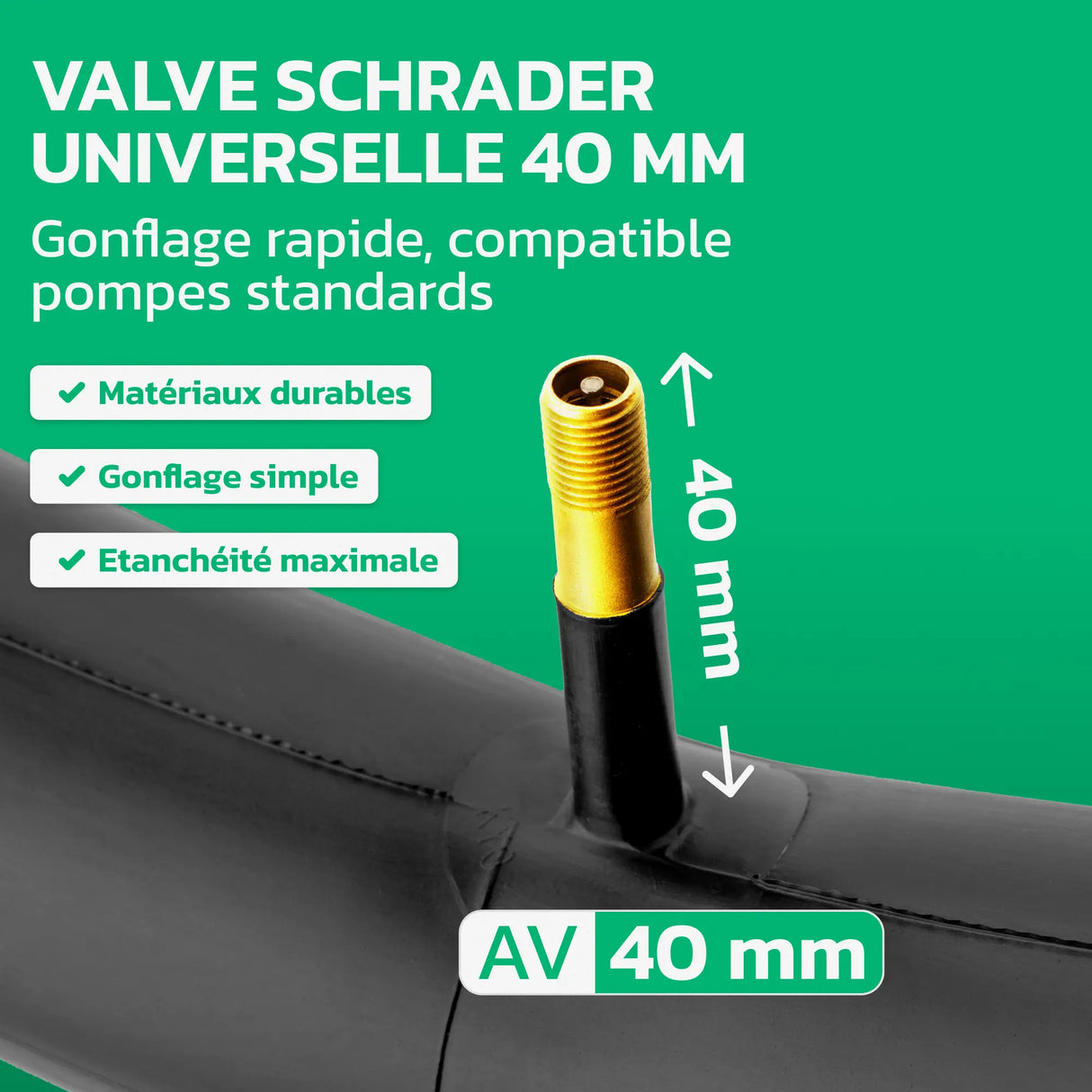 Valve Schrader de Chambre à air 12,5 pouces MoovMoov